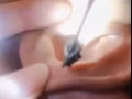 spa按摩送刮痧拔罐