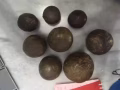 豪豬棗