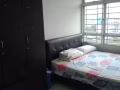 義順大牌442