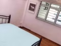 高層精裝修 兩間普通房出租 超近淡濱尼地鐵站