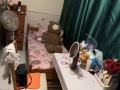 義順組屋隔間出租