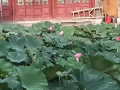 私人按摩(仅限女士)