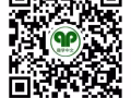 專業老師教授中小學華語課程