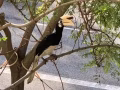 標準乾淨普通房出租