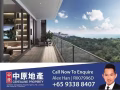 千万不要错过....全新公寓出售  Normanton Park