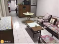 中巴鲁男生床位290