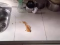 我要找人油漆   3房HDB  修理瓷砖