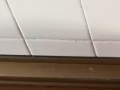 电饼档20元