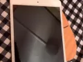 iPad mini4