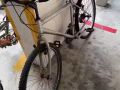 脚车50 芽笼