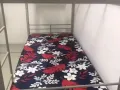 中巴鲁女床位出租