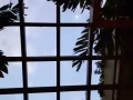 ▶▶【油池地铁旁】❤️新装修公寓房间优惠$750/红蓝绿线直达市区/拎包入住❤