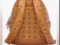 MCM Backpack