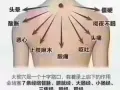 保健推拿养生
