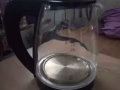 電飯鍋，電水壺便宜賣