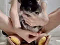 收一只公龙猫