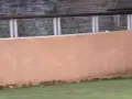 私人司机