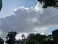 中国人在新加坡wp 公司直招 中介勿扰