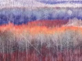 壁画，浮雕壁画