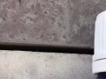 澳大利亚进口香精油.