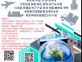 新加坡-中国，空/海运 专线物流，一流的服务，顺利的邮寄，舒心的接收