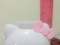 Hello Kitty  榨汁机