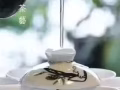 留香茶會免費體驗活動