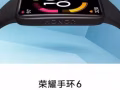 荣耀手环6 NFC血氧心率监测新品5代升级智能运动手表移动支付运动跑步 游泳