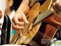吉他/鍵盤/架子鼓/樂理 1對1教學