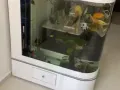大型鱼缸
