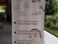 纳晶纳米技术治疗脱发