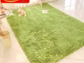地毯 绿色草地地毯 20元