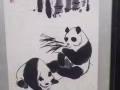 中国著名画家吴作人画熊猫作品
