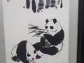 中国著名画家吴作人画熊猫作品