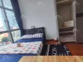 紫线花拉公园 地铁站，一房一厅高级大公寓 房间大 带大阳台 带泳池健身房