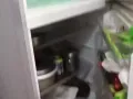 出售三门冰箱