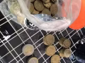 澳洲硬币便宜兑换 只要50新