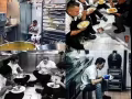 PR廚師找工作