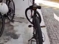 本人即將回國自行車便宜賣。