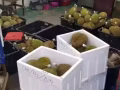爱吃榴莲的看过来！！！