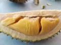爱吃榴莲的看过来！！！