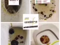 减肥糖果   欢迎咨询