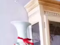免费送