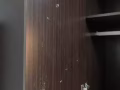 $100 四門衣櫃