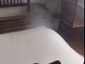 专业消灭臭虫蟑螂等机器喷药高效