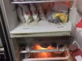 回国退房便宜大甩卖