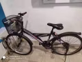 湖畔 自行车