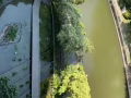 退房清洁🧹 公寓 别墅 组屋 清洁🧽