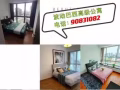 特价 紫线 红线 绿线中间地段有房 报地址送水电 千套豪宅无屋主健身房拎包入住！