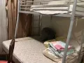 上下铺式床低价出售